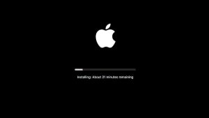 Stay Updated: The Importance of Regular Software