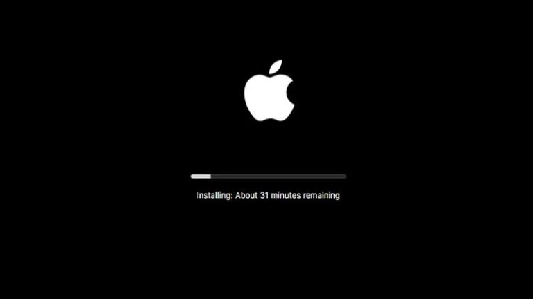Stay Updated: The Importance of Regular Software